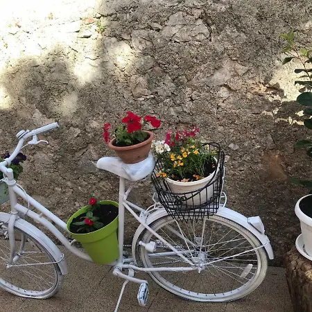 Palma 아파트 *
